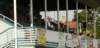 muzib_fkjb_destnevoh_20150607_foto_vaclav_mlejnekp1700663_small.jpg
