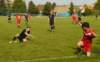 muzib_fkjb_destnevoh_20150607_foto_vaclav_mlejnekp1700790_small.jpg