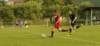 muzib_fkjb_destnevoh_20150607_foto_vaclav_mlejnekp1700994_small.jpg