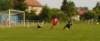 muzib_fkjb_destnevoh_20150607_foto_vaclav_mlejnekp1700997_small.jpg