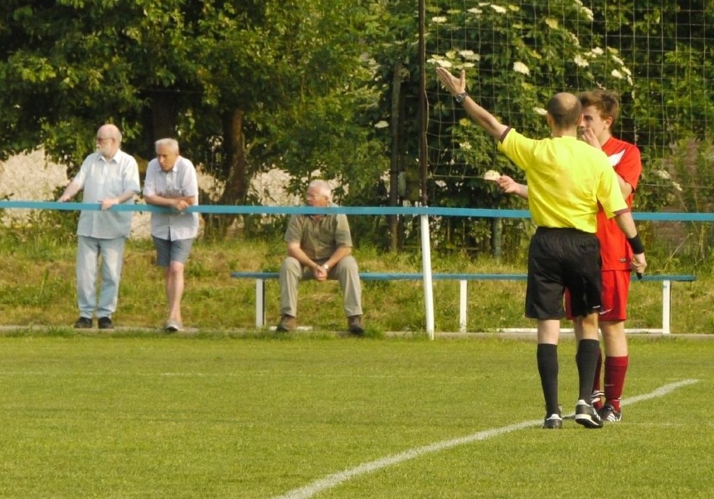 muzib_fkjb_destnevoh_20150607_foto_vaclav_mlejnekp1710165.jpg