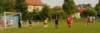 muzib_fkjb_destnevoh_20150607_foto_vaclav_mlejnekp1710342_small.jpg