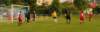muzib_fkjb_destnevoh_20150607_foto_vaclav_mlejnekp1710345_small.jpg