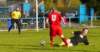 muzib_op_fkjb_tjdolany_20160424autorvaclavmlejnek_p1930076_small.jpg