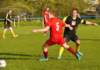 muzib_op_fkjb_tjdolany_20160424autorvaclavmlejnek_p1930170_small.jpg