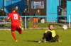 muzib_op_fkjb_tjdolany_20160424autorvaclavmlejnek_p1930173_small.jpg