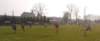 muzib_fkjb_tjslavojpredmerice_20150321_foto_vaclav_mlejnekp1560777_small.jpg