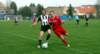 muzib_fkj_velkeporici_20140406_autor_vaclav_mlejnek_p1170882_small.jpg