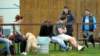 muzib_fkj_velkeporici_20140406_autor_vaclav_mlejnek_p1170905_small.jpg