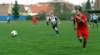 muzib_fkj_velkeporici_20140406_autor_vaclav_mlejnek_p1180147_small.jpg