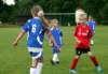 grassrootsday_mp_fkjaromer_20140614_autor_vaclav_mlejnek_p1290805_small.jpg
