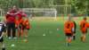 mp_kp_fk_jaromer_a_fc_hk_a_20140510_autor_vaclav_mlejnekp1230725_small.jpg