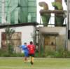 op_na_fkjaromerb_tjdolany_20140614_autor_vaclav_mlejnek_p1300943_small.jpg