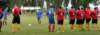 op_na_fkjaromerb_tjdolany_20140614_autor_vaclav_mlejnek_p1310243_small.jpg