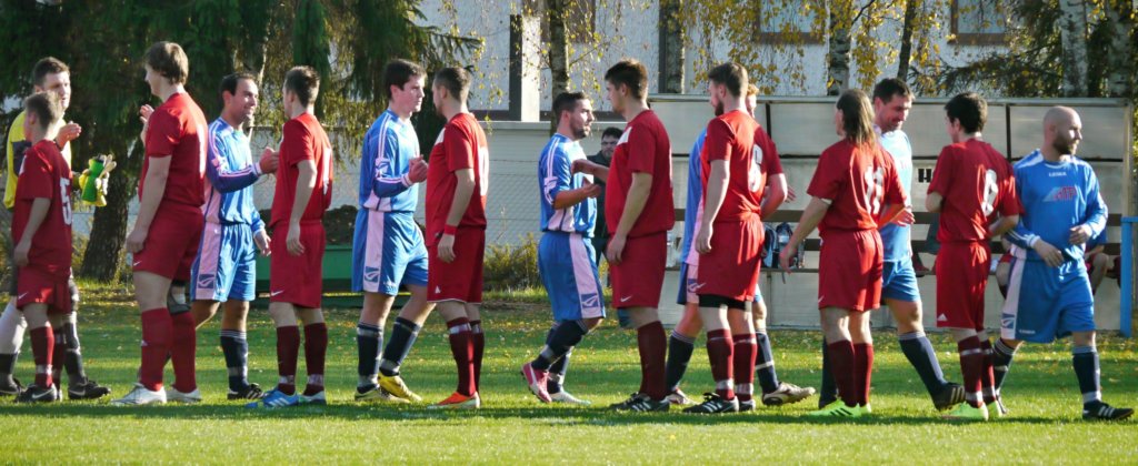 muzib_tjvelichovkyfkjaromerb_20151031autorvaclavmlejnek_p1830519.jpg