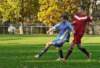 muzib_tjvelichovkyfkjaromerb_20151031autorvaclavmlejnek_p1830636_small.jpg