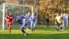 muzib_tjvelichovkyfkjaromerb_20151031autorvaclavmlejnek_p1830647_small.jpg