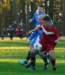 muzib_tjvelichovkyfkjaromerb_20151031autorvaclavmlejnek_p1830959_small.jpg