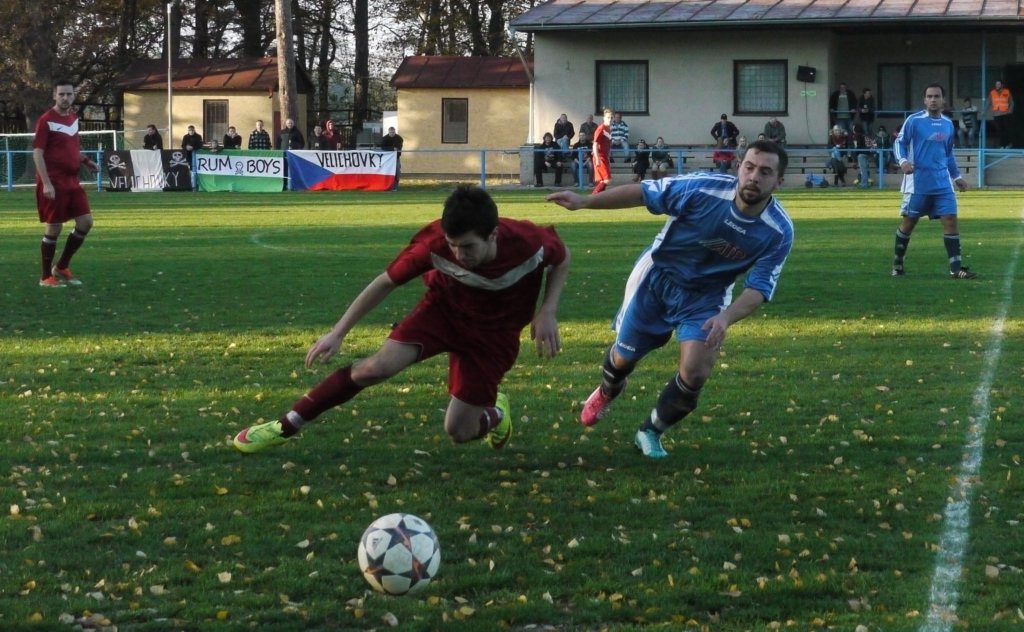 muzib_tjvelichovkyfkjaromerb_20151031autorvaclavmlejnek_p1840099.jpg