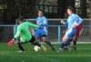 muzib_tjvelichovkyfkjaromerb_20151031autorvaclavmlejnek_p1840242_small.jpg