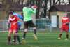 muzib_tjvelichovkyfkjaromerb_20151031autorvaclavmlejnek_p1840508_small.jpg