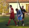muzib_tjvelichovkyfkjaromerb_20151031autorvaclavmlejnek_p1840550_small.jpg