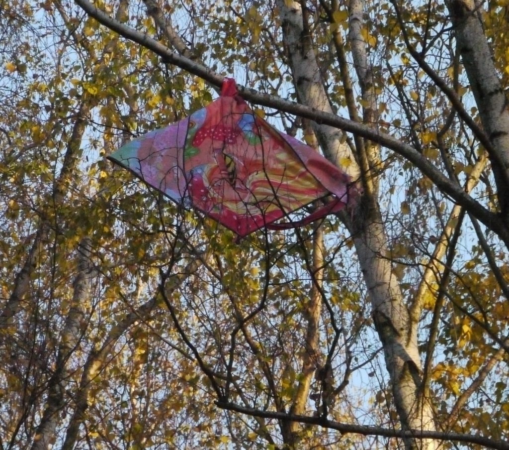 muzib_tjvelichovkyfkjaromerb_20151031autorvaclavmlejnek_p1840628.jpg