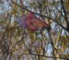 muzib_tjvelichovkyfkjaromerb_20151031autorvaclavmlejnek_p1840628_small.jpg