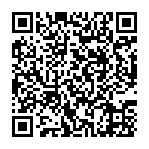 QR – online výsledky