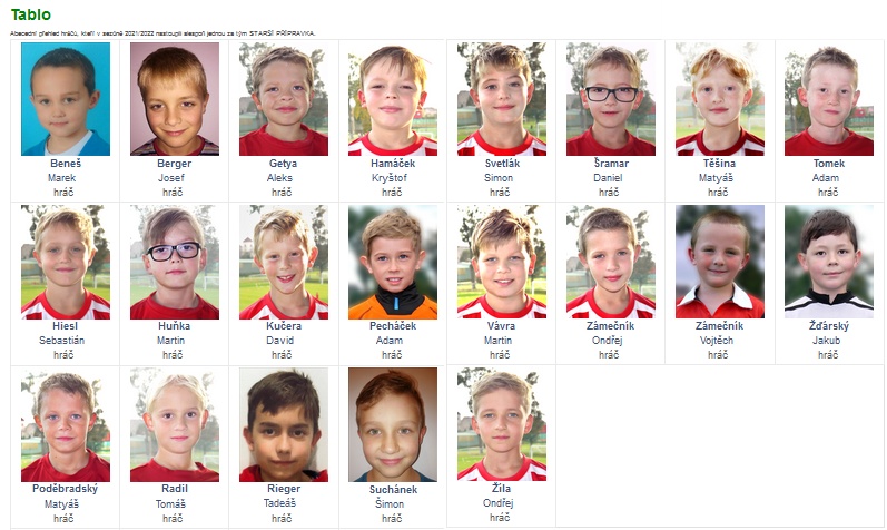 Starší přípravka statistika