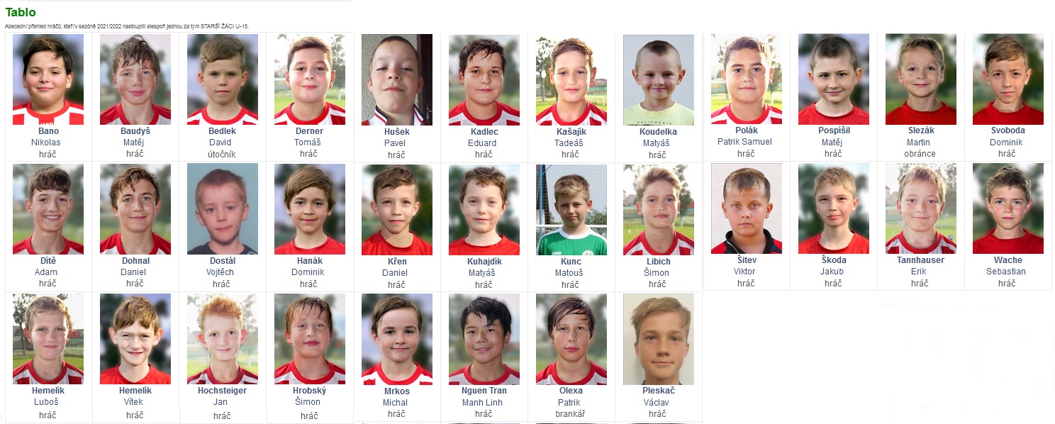 Mladší přípravka statistika