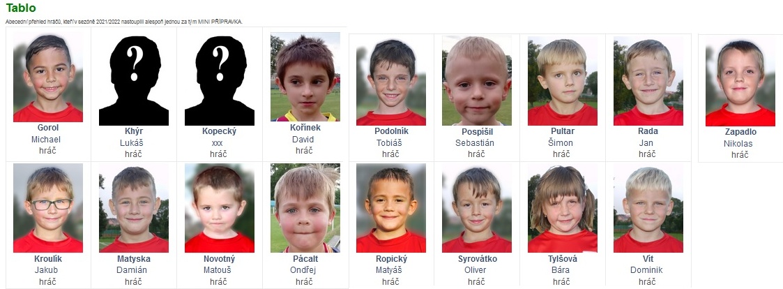 statistika minipřípravky